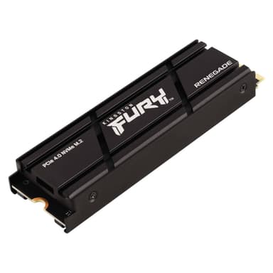 Kingston Fury Renegade 1TB M.2 NVMe